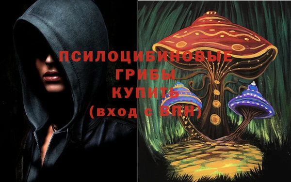 ешки Волосово