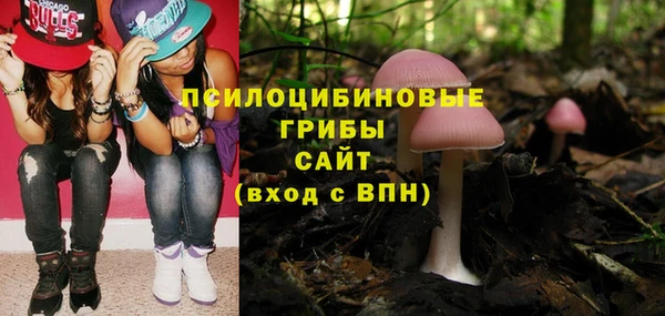 ешки Волосово