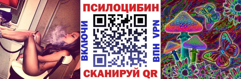 Псилоцибиновые грибы Psilocybe  Копейск 